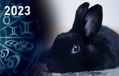 Игрушки и сувениры 2023 символ года Кролик (черный, водяной)
